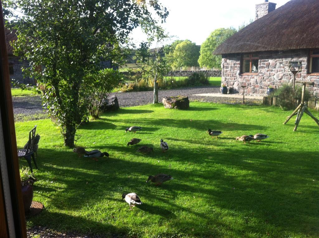 Clan Cottages Oban Kamer foto
